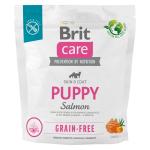 Brit Care Dog Grain-free Puppy - 1kg