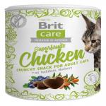 Brit Care Snack Superfruits 100g - Chicken