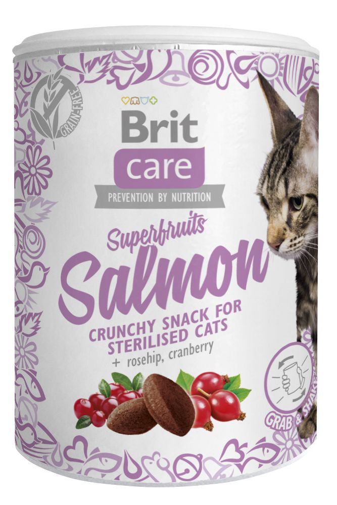 Brit Care Snack Superfruits 100g - Salmon