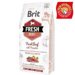 Brit Fresh Dog Large Puppy Beef/Pumpkin Growth & Joints - 2,5kg