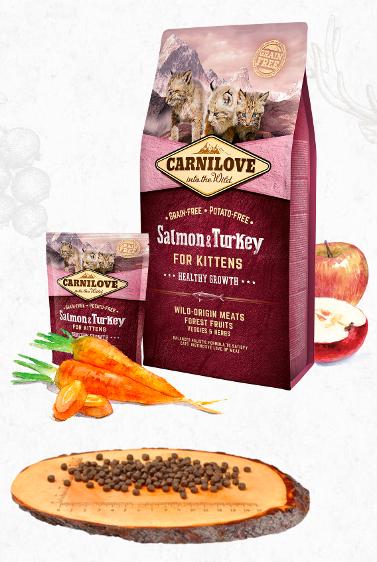 Carnilove Cat Kitten Salmon/Turkey - 2 x 6kg