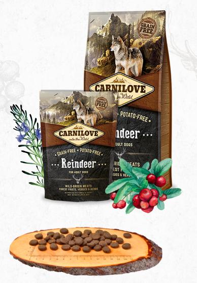 Carnilove Dog Adult Reindeer - 12kg