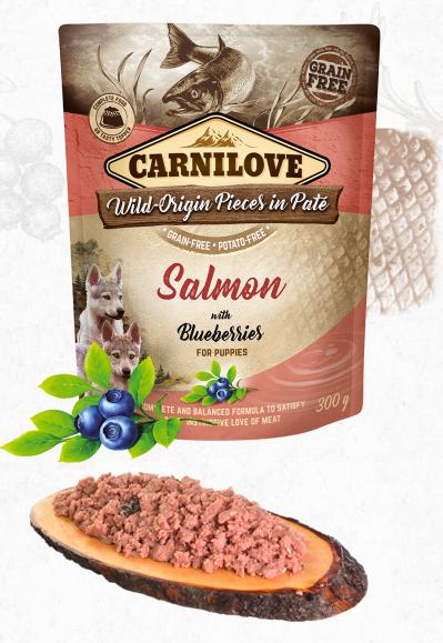 Carnilove Dog Paté 300g - Puppy Salmon/Blueberries