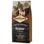 Carnilove Reindeer Adult 12kg