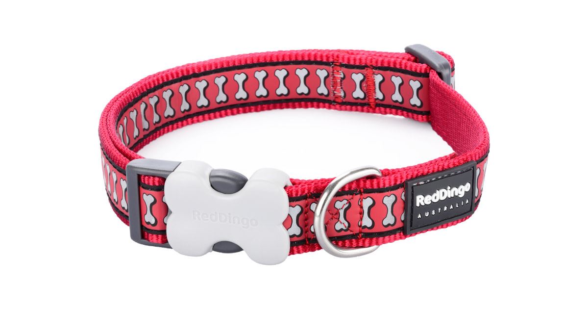 RedDingo Obojek Bones Red - 1,5/24 až 36cm