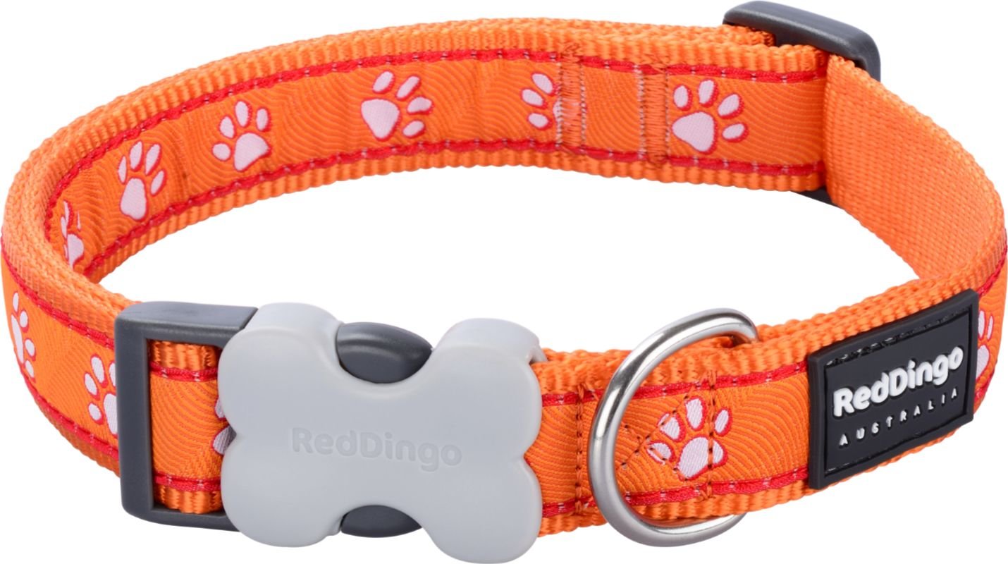 RedDingo Obojek Desert Paws Orange - 1,5/24 až 36cm