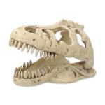 Repti Planet Dekorace T-REX lebka 13,3x8,5x9cm