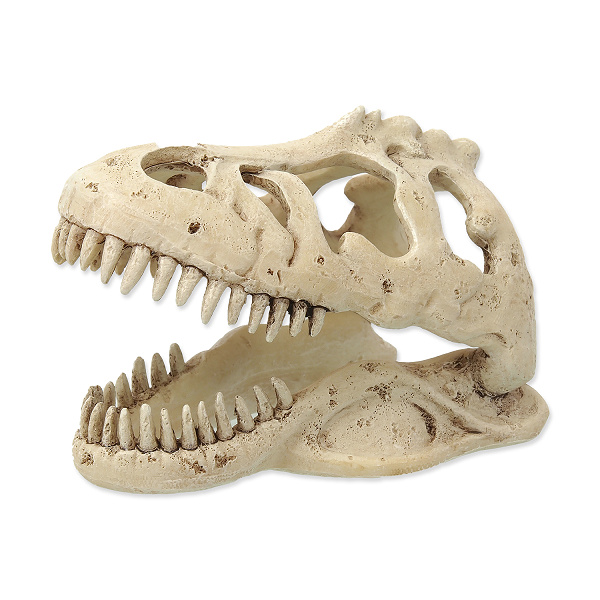 Repti Planet Dekorace T-REX lebka 13,3x8,5x9cm