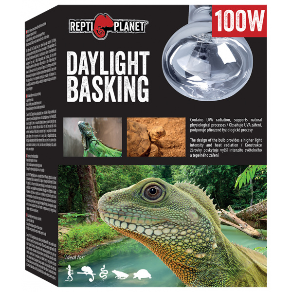 Repti Planet žárovka Daylight Basking Spot 100W