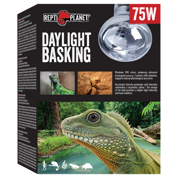 Repti Planet žárovka Daylight Basking Spot 75W