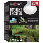 Repti Planet žárovka Daylight Frosted 25W