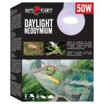 Repti Planet žárovka Daylight Neodymium 50W