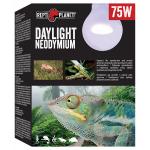 Repti Planet žárovka Daylight Neodymium 75W