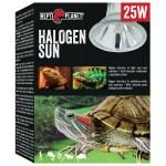 Repti Planet žárovka Halogen Sun 25W