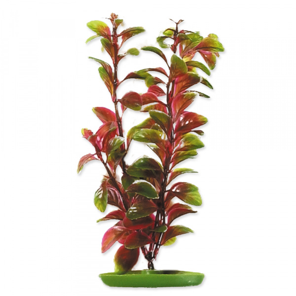 Rostlina Marina Red Ludwigia 20cm