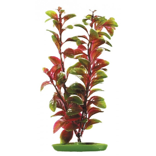 Rostlina Marina Red Ludwigia 30cm