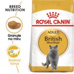 Royal Canin Cat British Shorthair Adult - 10kg