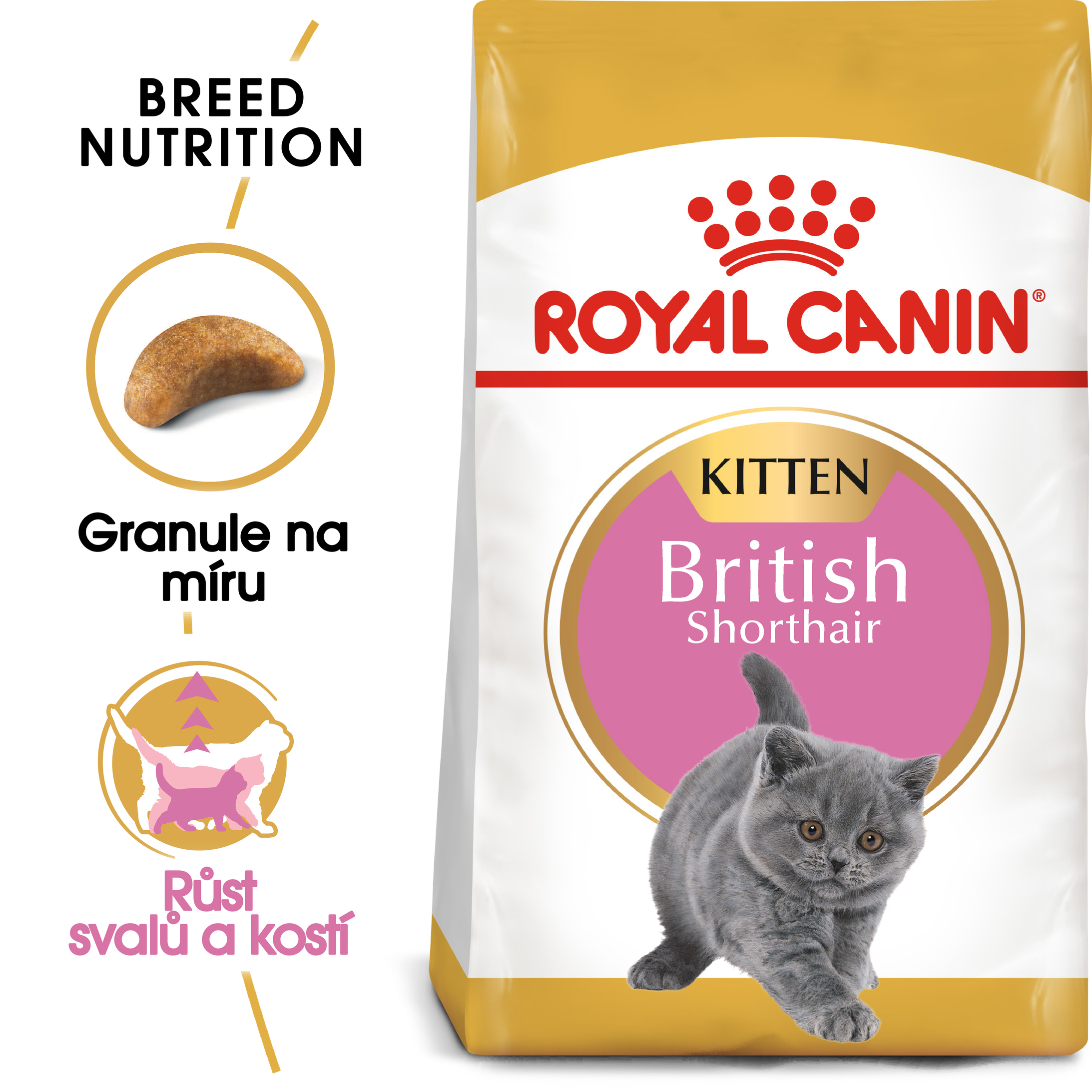 Royal Canin Cat Kitten British Shorthair - 10kg