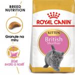 Royal Canin Cat Kitten British Shorthair - 10kg