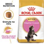 Royal Canin Cat Kitten Main Coon - 10kg