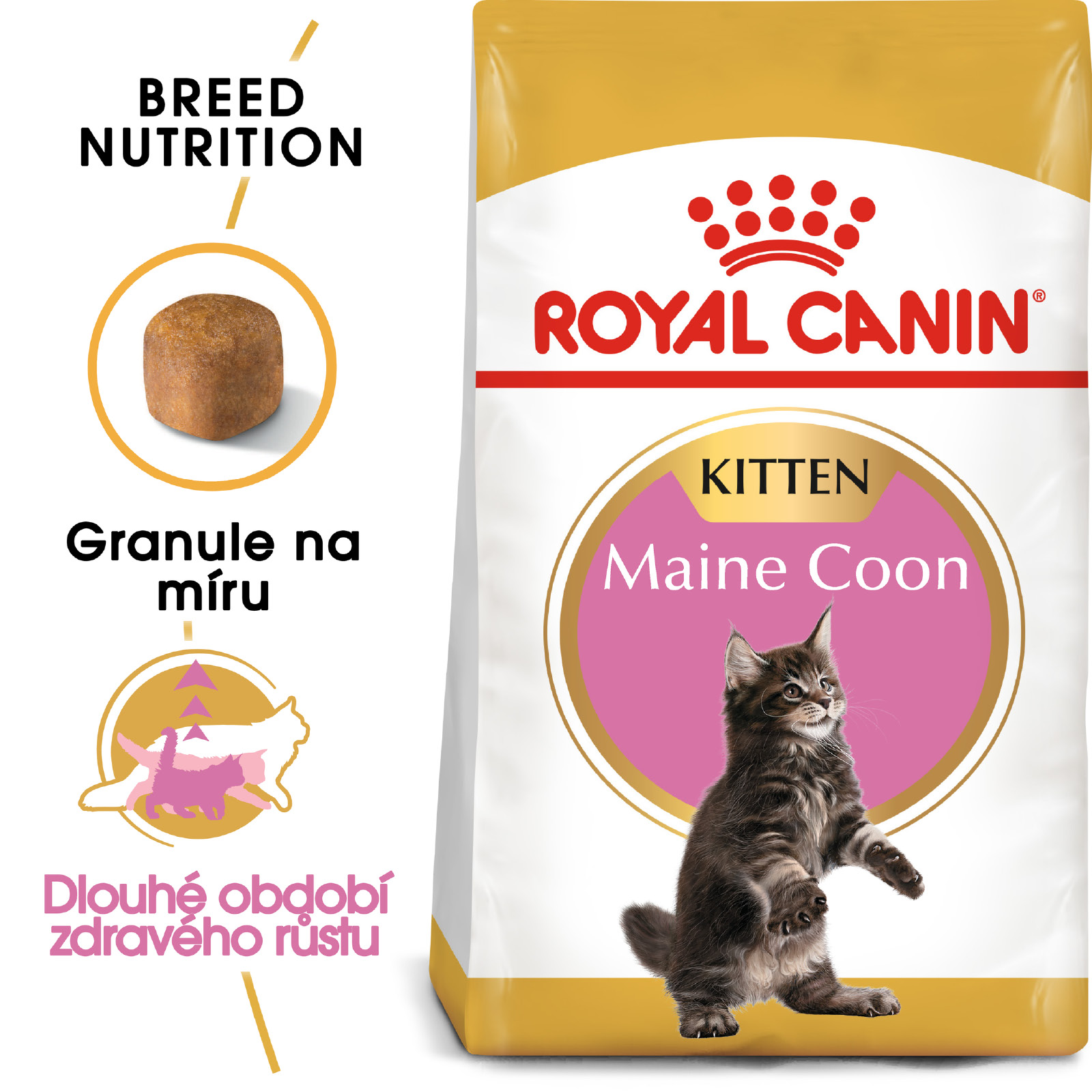 Royal Canin Cat Main Coon Kitten - 400g