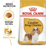 Royal Canin Dog Adult Cavalier King Charles - 1,5kg