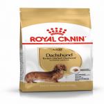 Royal Canin Dog Adult Dachshund - 500g