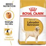 Royal Canin Dog Adult Labrador - 12kg