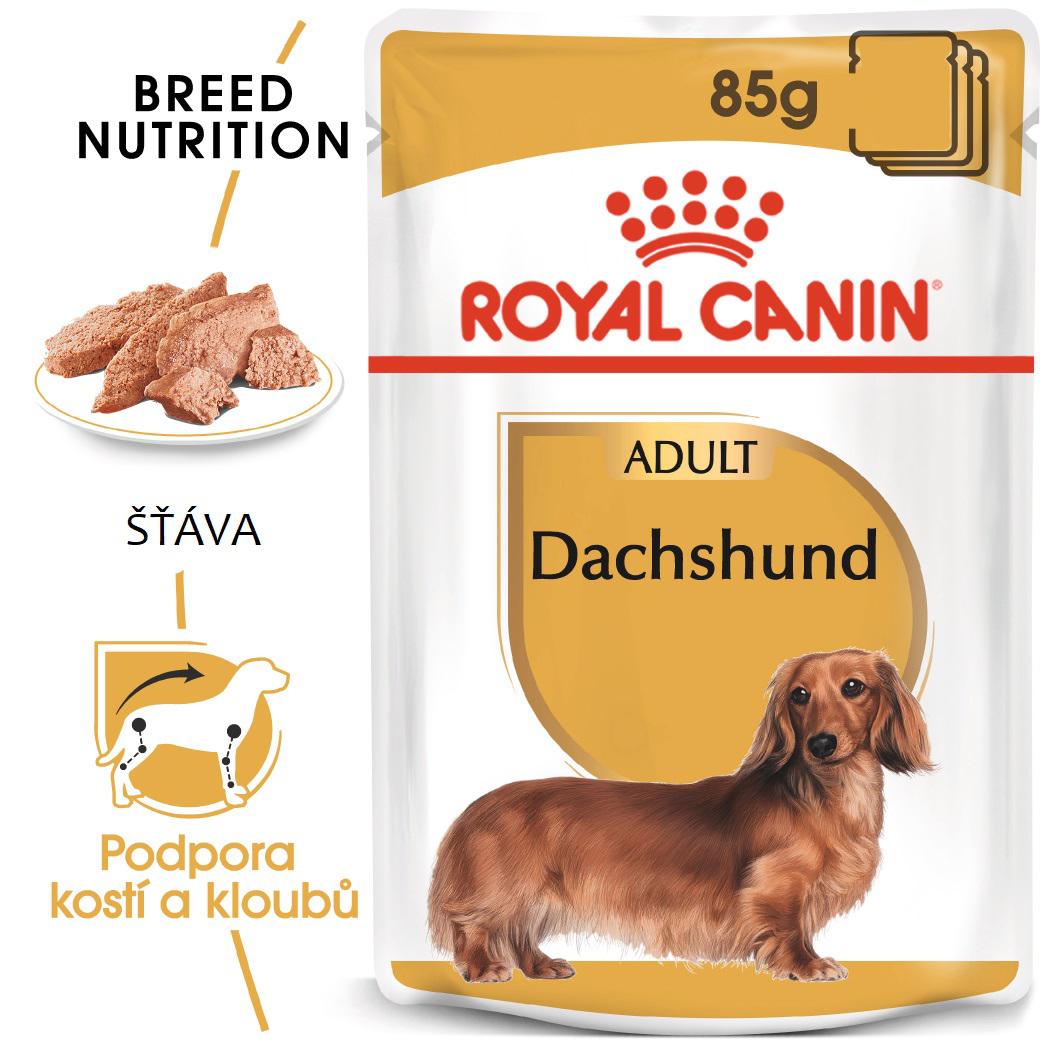 Royal Canin Dog Dachshund - 12 x 85g