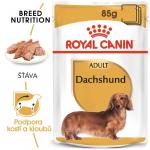 Royal Canin Dog Dachshund - 12 x 85g