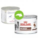 Royal Canin Konz. Recovery - 195g